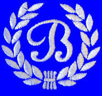 The Berkeley Academy logo